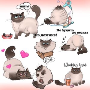 Стикеры с нуля и без обводки  